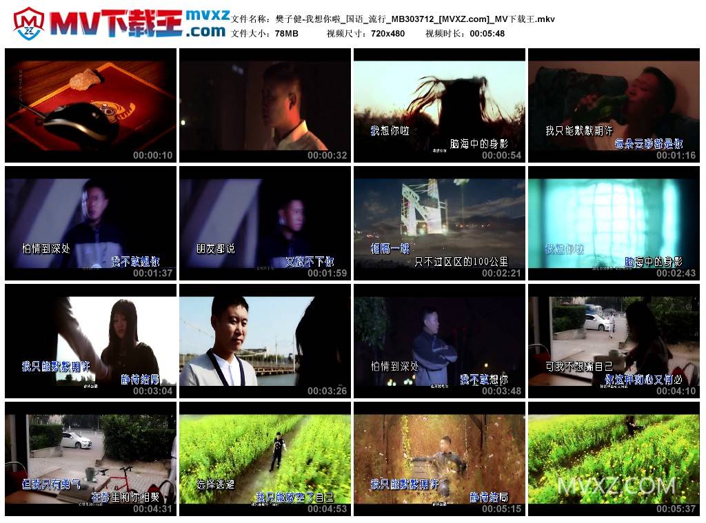 樊子健-我想你啦_国语_流行_MB303712